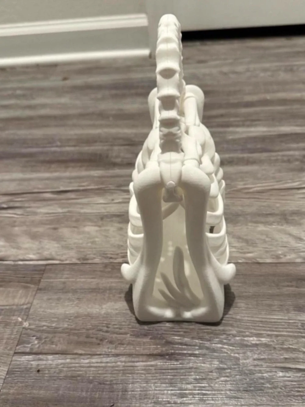 N/A unique ribcage